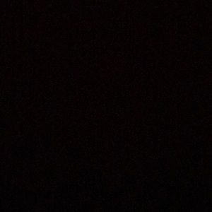 Meet your Posher, Brady